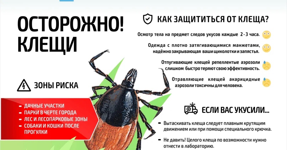 Осторожно -  клещи!.