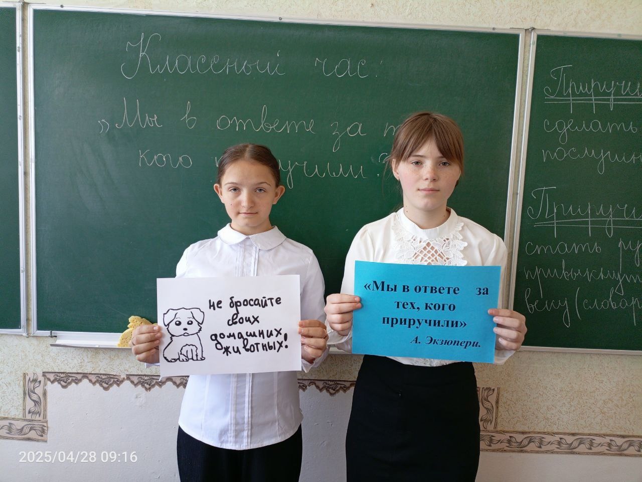 &amp;quot;Мы в ответе за тех, кого приручили&amp;quot;.